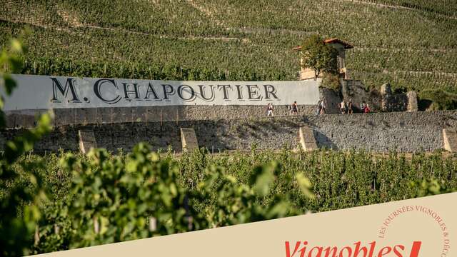 Visite des vignes & dégustation - Maison M. CHAPOUTIER