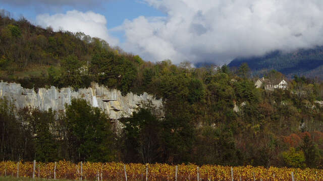 Domaine Collomb