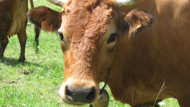 La ferme de Baumugnes