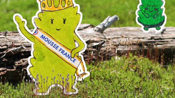 Conférence "Le monde immense des minuscules mousses"- Fête de la science
