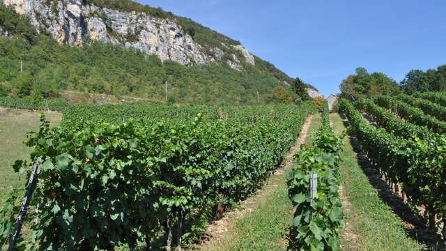 Domaine Monin