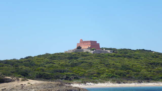 Fort von Grand Langoustier