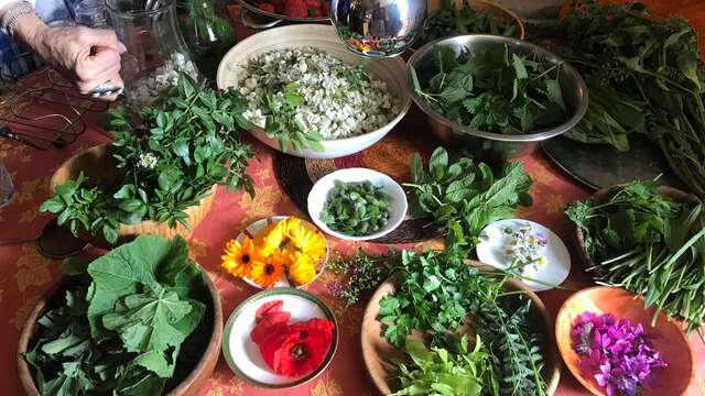 Les Aventurières du Goût - Découverte des fleurs et plantes sauvages gourmandes