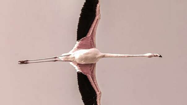 Exposition : Zénitude Crépusculaire - Une exposition de Frank Follet
