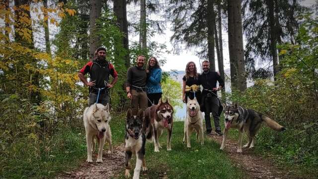 Cani-rando - Travel Dog