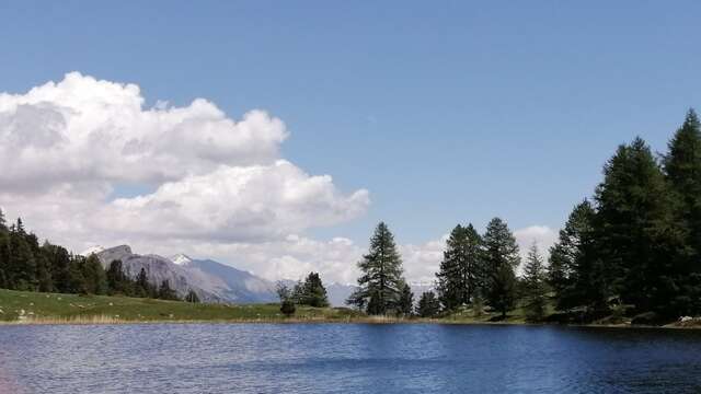 Randonnée aux lacs et tourbière du Col bas