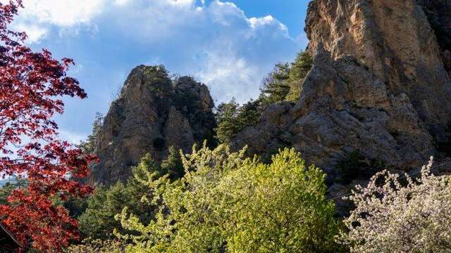 Camping Le Cians - Péone