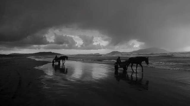 Festival viva il ciné ! Regards d'aujourd'hui "Pompéi, sous les nuages "