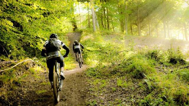 Balade VTT / E-Bike - ESS