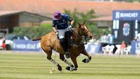 Tournoi de polo - La saga challenge