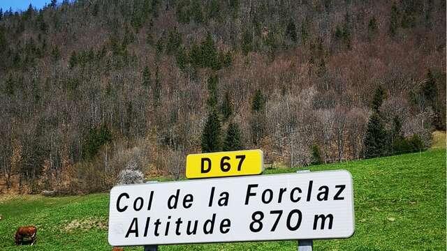 Expertkurs : Cohennoz climb