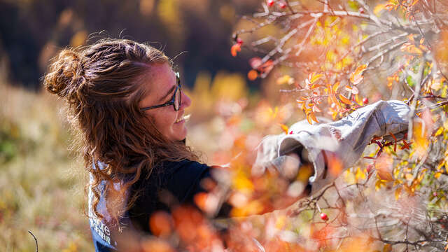 Discover wild harvesting and the making of herbal products