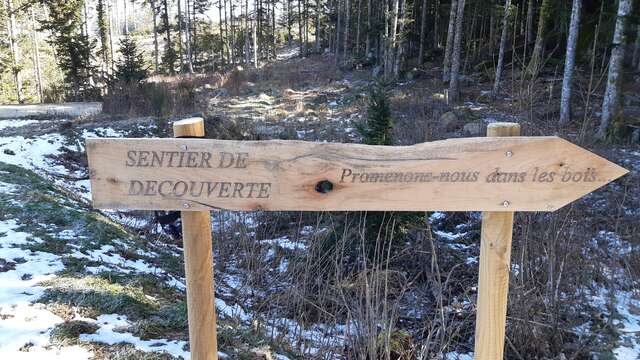 Sentier thématique "Promenons-nous dans les bois"