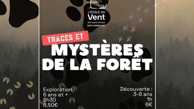 Traces & mystères de la forêt