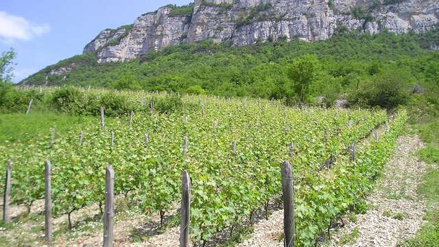 Les Grangeons de l'Albarine