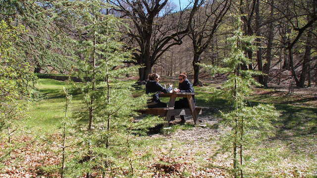 Aire de pique-nique Chapelle N.-D. de Lure