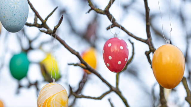 Easter eggs in the Nordic ski area