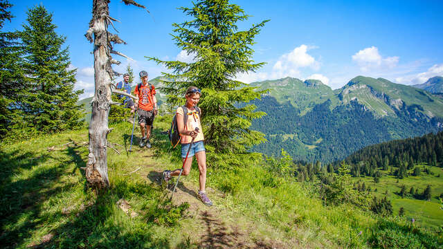 Randonnée accompagnée de Cécile