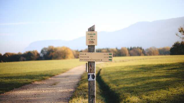 Panorama du Mont-Sion - Croix de vin