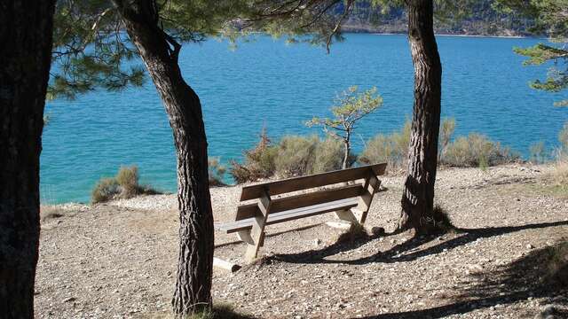 Exploring Toine’s Nature Trail