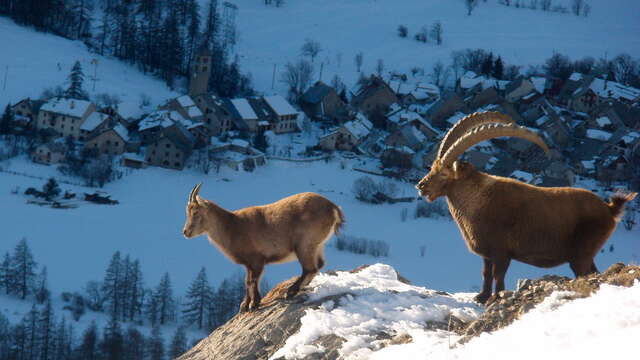 Bureau des Guides et Accompagnateurs de Serre Chevalier