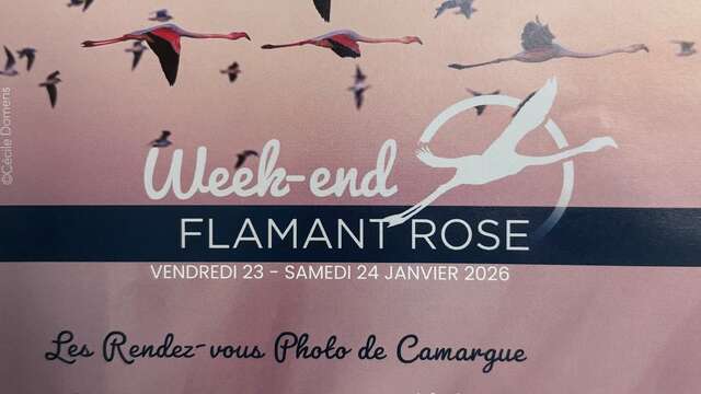 Week-end Flamant Rose - Parc Ornithologique