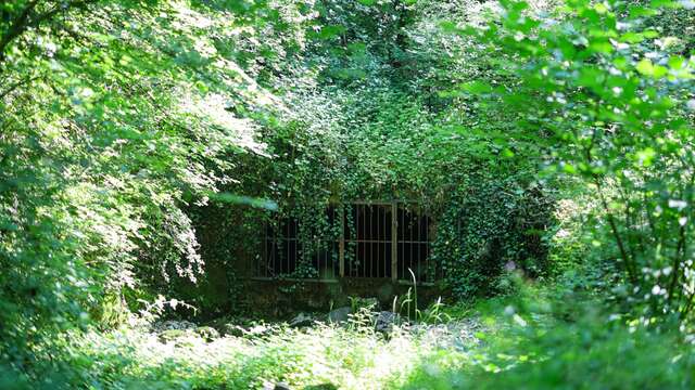 Boucle de la source du Biel