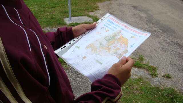 Initiation à l'orientation avec les Demoiselles du Plateau