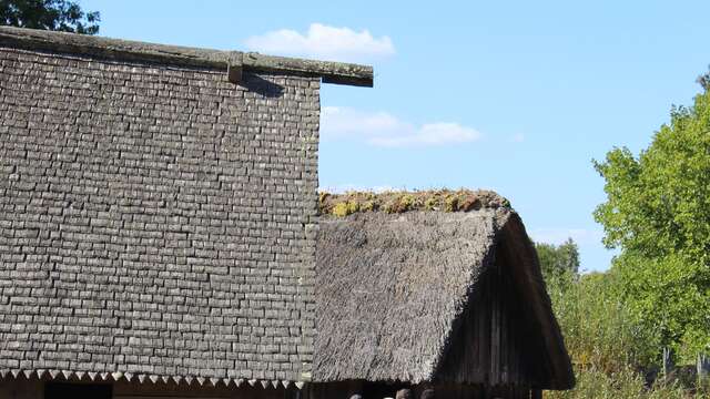 Journée Européenne de l'archéologie au Château à Motte