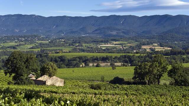 Terres Valdèze