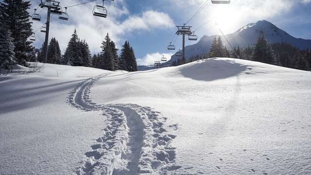 Balade en raquettes avec Alpine Ski School