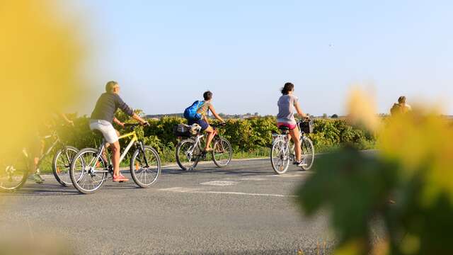 Chemins en campagne à vélo