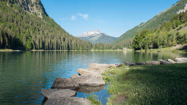 Walking trail: from the center of Montriond to the lake