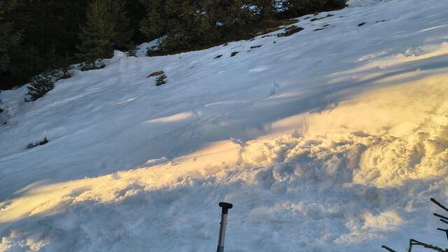 Sauvetage Avalanche en Autonomie ANENA – niveau 1+2