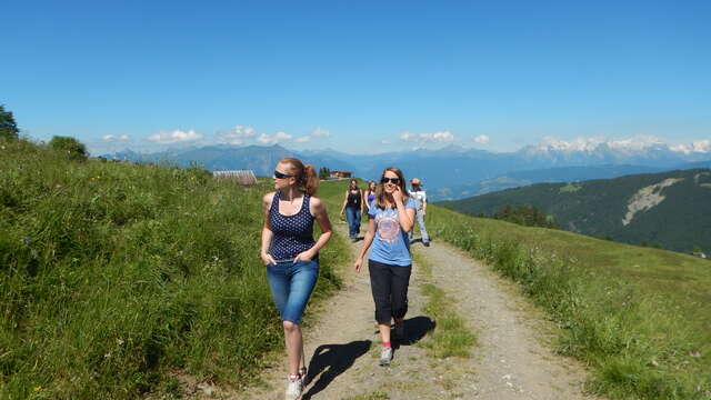 Sortie randonnée à la journée - Tous niveaux