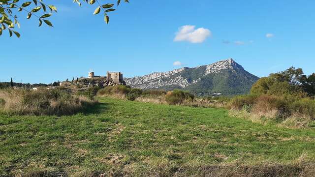 Sortie nature : Botanistes en herbe