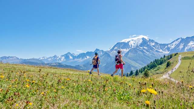 Mont Joux en passant par la Crête du Mont d'Arbois