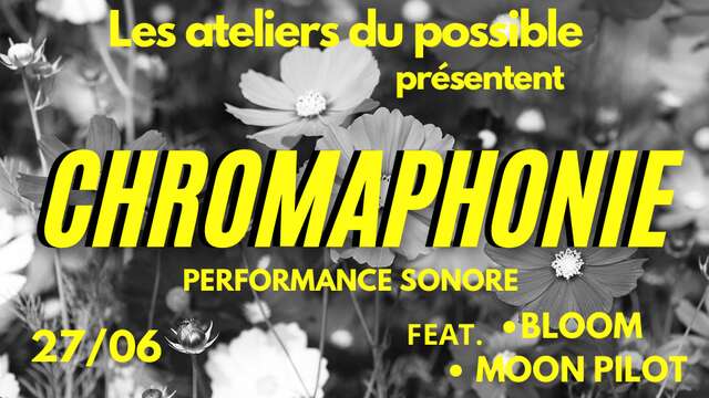 Performance sonore "Chromophanie" aux Musées des Beaux-Arts
