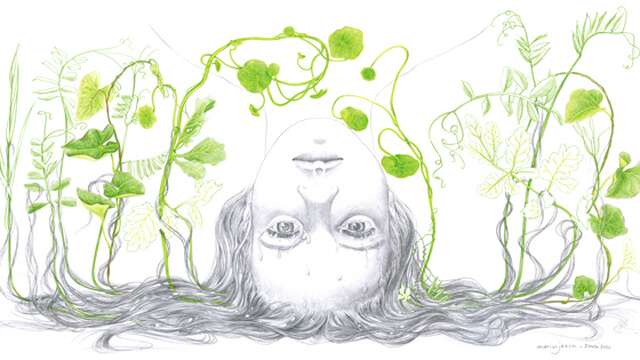 Exposition de l'illustratrice Marion Janin