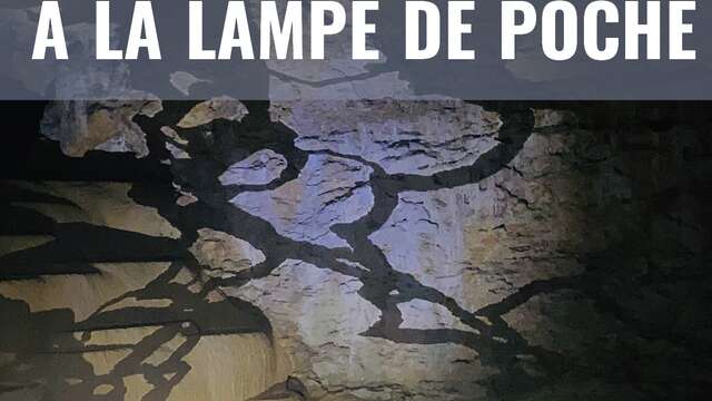 Visite guidée aux lampes de poche