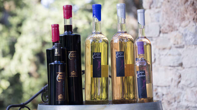 Château de Cancerilles