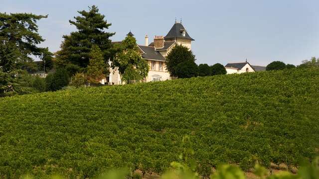 Château Domaine de la Soucherie