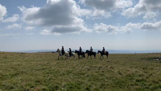 Entre ciel et terre - Balades et randonnées à cheval