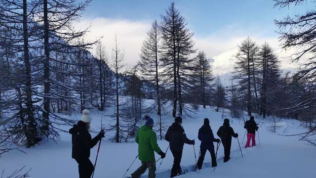 Raquettes, repas en refuge et descente en luge - Terres de Trek