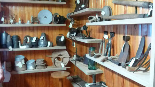 Visite des réserves de la Maison du patrimoine