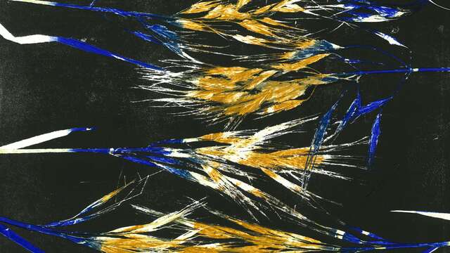 Exposition : Lignes, tiges et dessins d'herbes - Diane Etienne