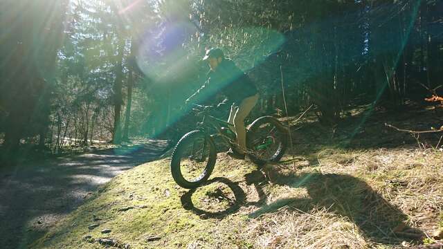 Downhill mountain bike track - Dré dans l'Pentu