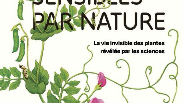 Rencontre dédicace autour du livre Sensibles par nature