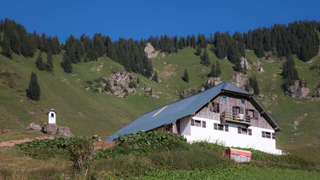 Goûter à l'alpage de Barbossine