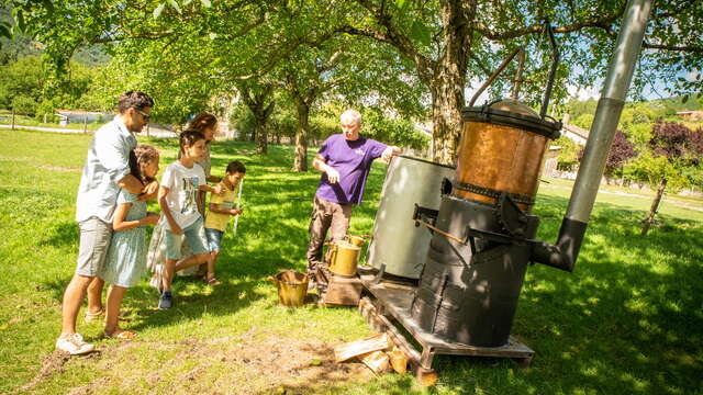 Atelier de Distillation à l'Ancienne de la Lavande au Vercors